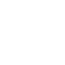 ce logo Nantes